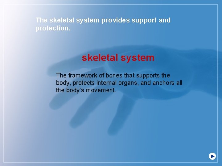The skeletal system provides support and protection. skeletal system The framework of bones that
