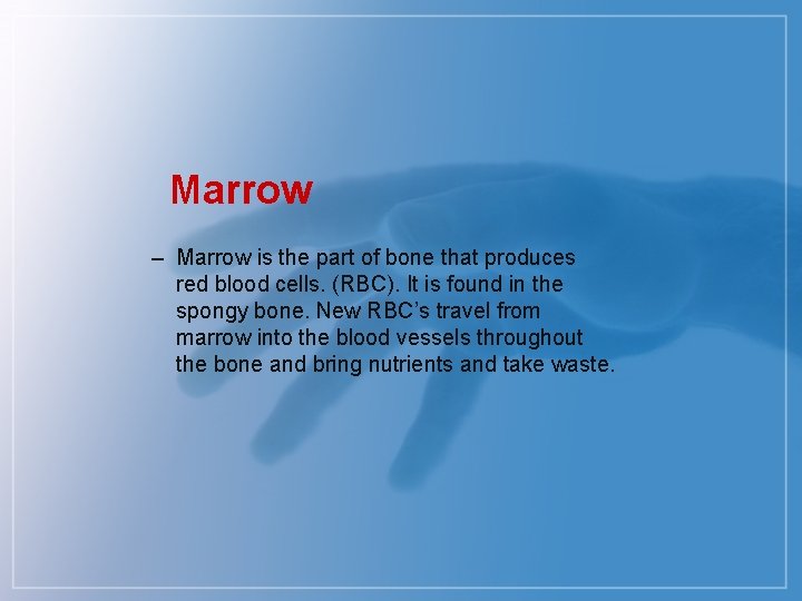 Marrow – Marrow is the part of bone that produces red blood cells. (RBC).