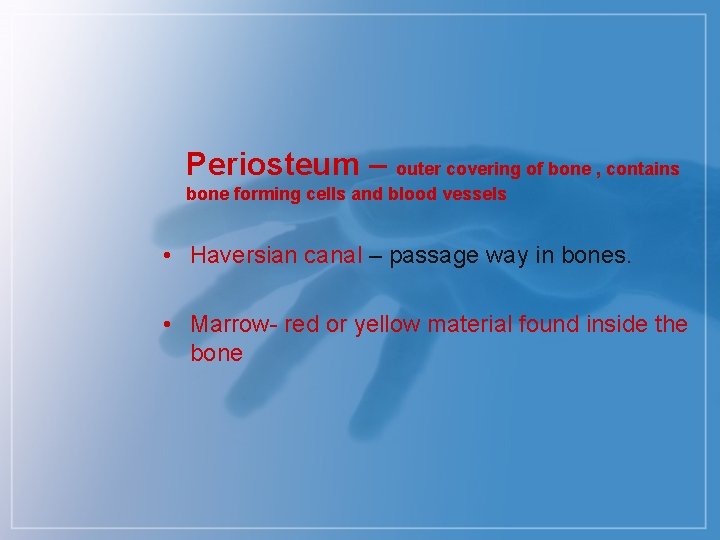 Periosteum – outer covering of bone , contains bone forming cells and blood vessels