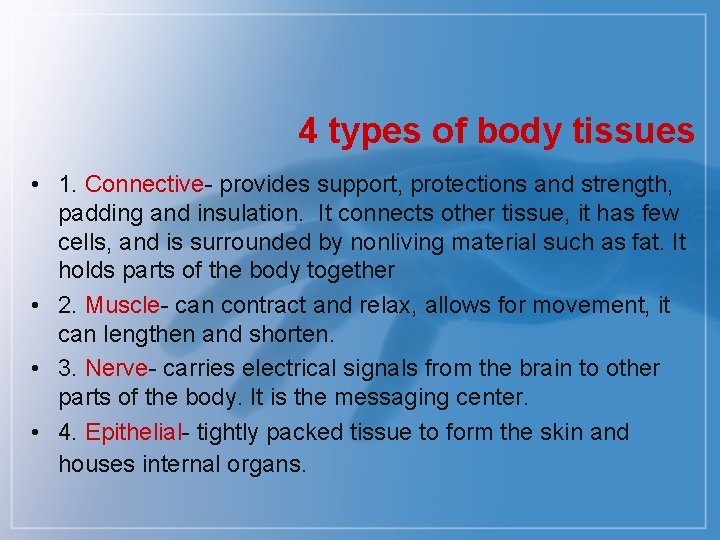 4 types of body tissues • 1. Connective- provides support, protections and strength, padding