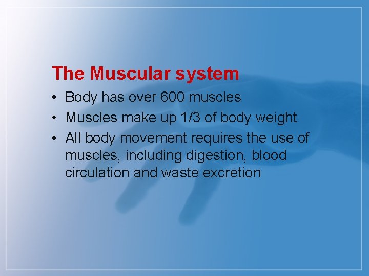 The Muscular system • Body has over 600 muscles • Muscles make up 1/3