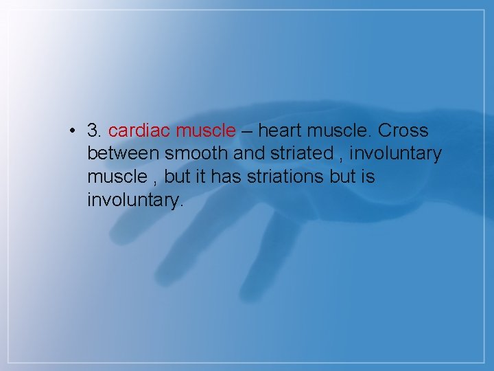  • 3. cardiac muscle – heart muscle. Cross between smooth and striated ,