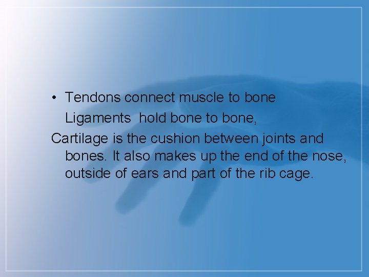  • Tendons connect muscle to bone Ligaments hold bone to bone, Cartilage is