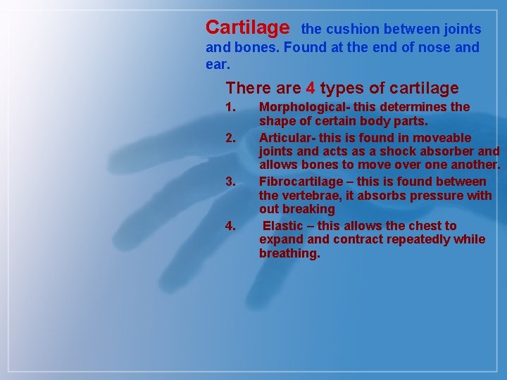 Cartilage the cushion between joints and bones. Found at the end of nose and