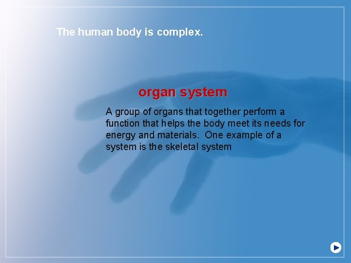 The human body is complex. organ system A group of organs that together perform