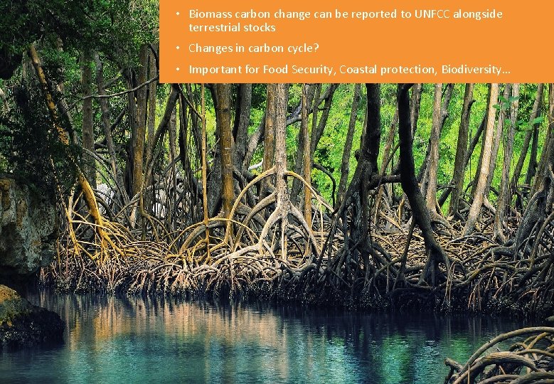  • Biomass carbon change can be reported to UNFCC alongside terrestrial stocks •