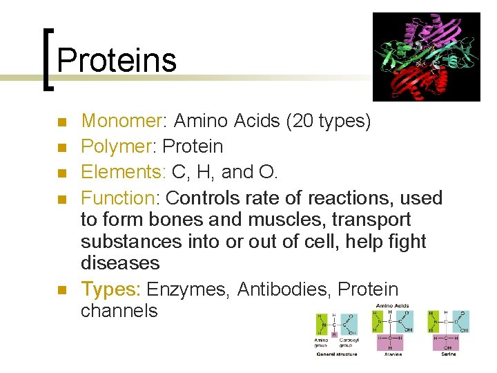 Proteins n n n Monomer: Amino Acids (20 types) Polymer: Protein Elements: C, H,