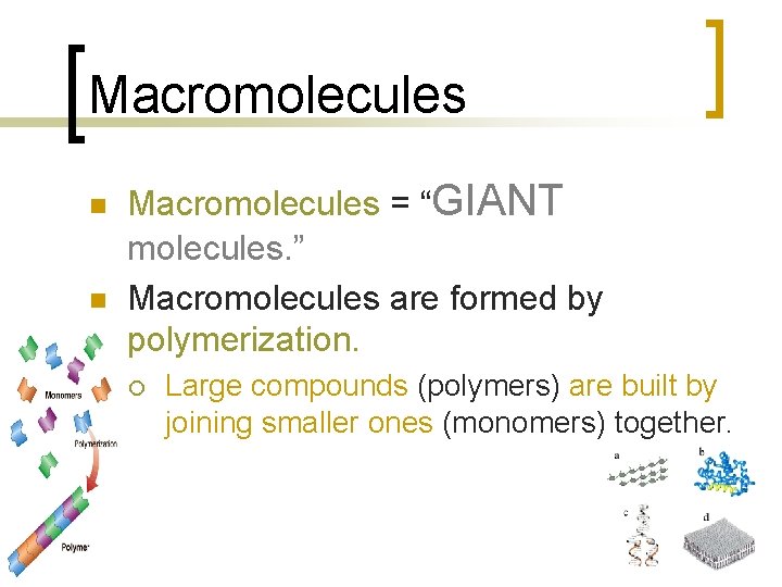 Macromolecules n n Macromolecules = “GIANT molecules. ” Macromolecules are formed by polymerization. ¡