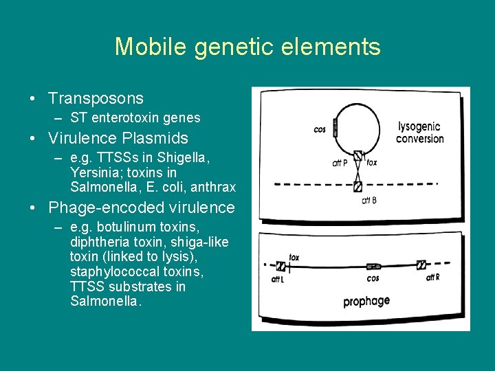 Mobile genetic elements • Transposons – ST enterotoxin genes • Virulence Plasmids – e.