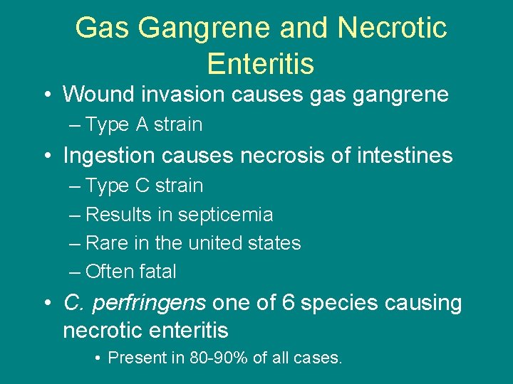 Gas Gangrene and Necrotic Enteritis • Wound invasion causes gangrene – Type A strain