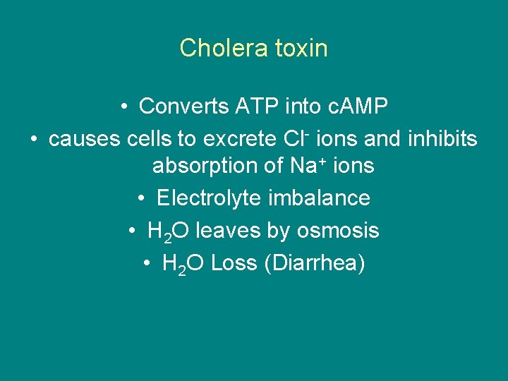Cholera toxin • Converts ATP into c. AMP • causes cells to excrete Cl-