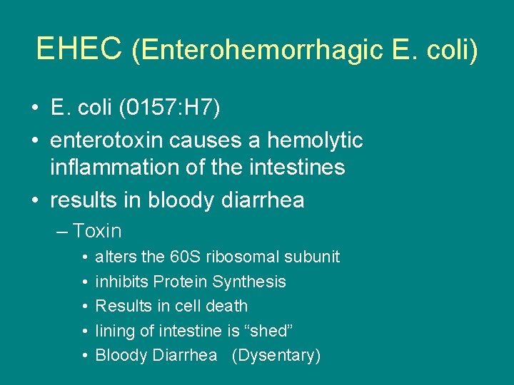 EHEC (Enterohemorrhagic E. coli) • E. coli (0157: H 7) • enterotoxin causes a