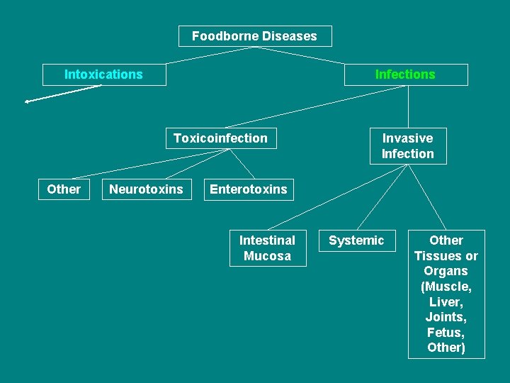 Foodborne Diseases Intoxications Infections Toxicoinfection Other Neurotoxins Invasive Infection Enterotoxins Intestinal Mucosa Systemic Other