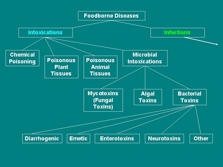 Foodborne Diseases Intoxications Chemical Poisoning Infections Poisonous Plant Tissues Poisonous Animal Tissues Microbial Intoxications