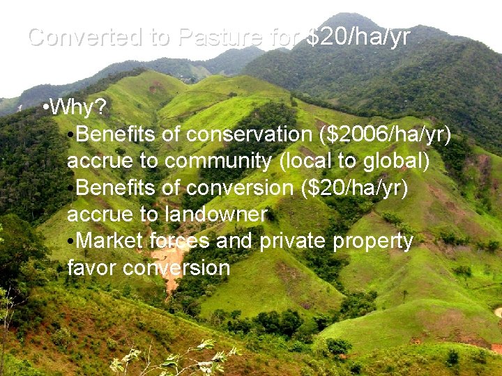 Converted to Pasture for $20/ha/yr • Why? • Benefits of conservation ($2006/ha/yr) accrue to