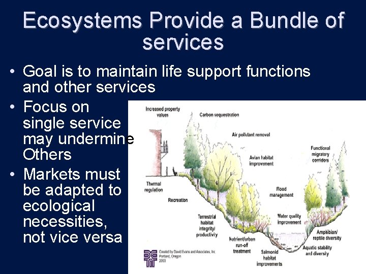 Ecosystems Provide a Bundle of services • Goal is to maintain life support functions