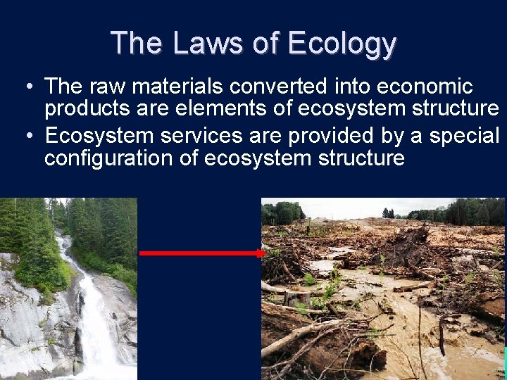 The Laws of Ecology • The raw materials converted into economic products are elements