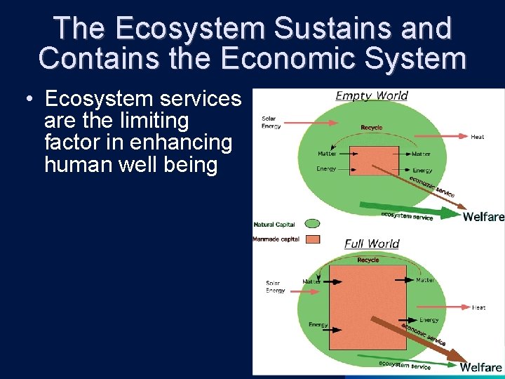 The Ecosystem Sustains and Contains the Economic System • Ecosystem services are the limiting