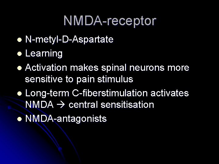 NMDA-receptor N-metyl-D-Aspartate l Learning l Activation makes spinal neurons more sensitive to pain stimulus