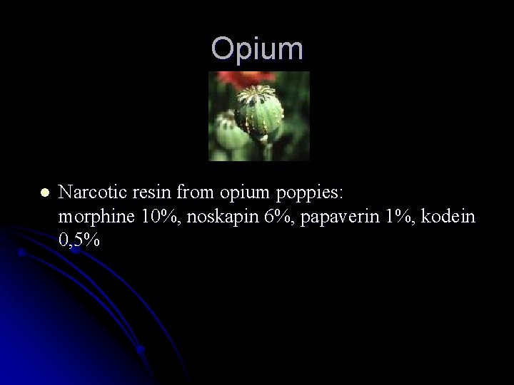 Opium l Narcotic resin from opium poppies: morphine 10%, noskapin 6%, papaverin 1%, kodein