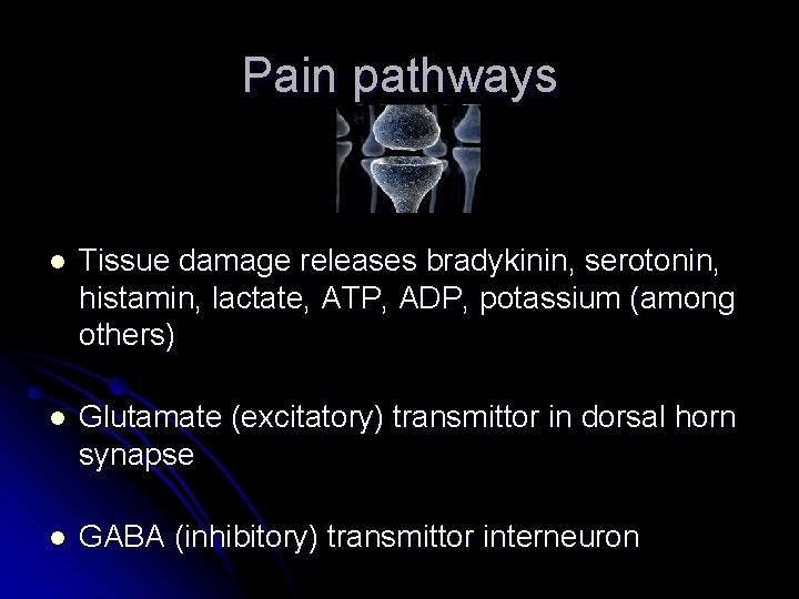 Pain pathways l Tissue damage releases bradykinin, serotonin, histamin, lactate, ATP, ADP, potassium (among