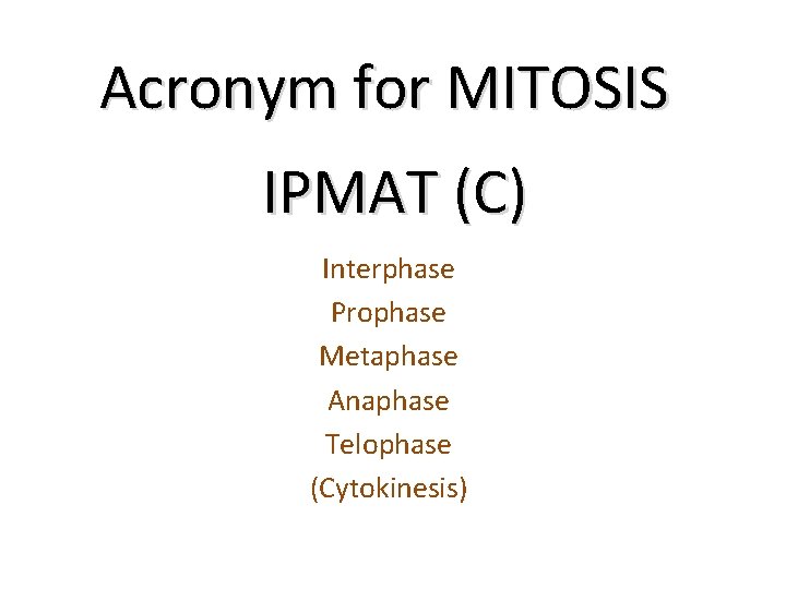 Acronym for MITOSIS IPMAT (C) Interphase Prophase Metaphase Anaphase Telophase (Cytokinesis) 