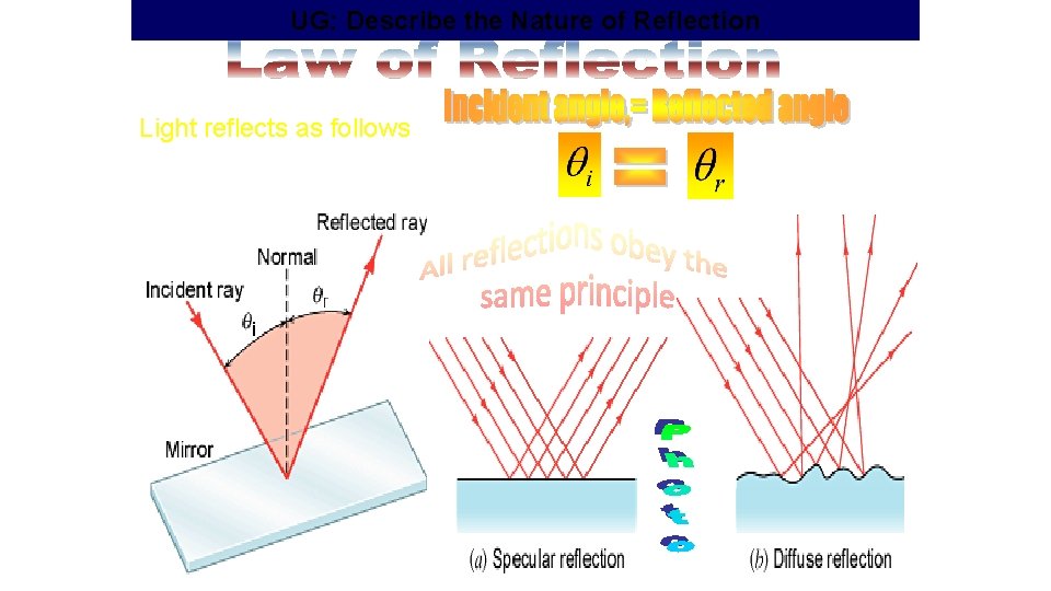 UG: Describe the Nature of Reflection Light reflects as follows 