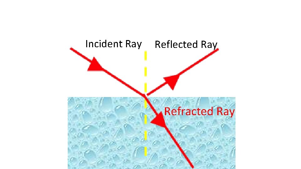 Incident Ray Reflected Ray Refracted Ray 