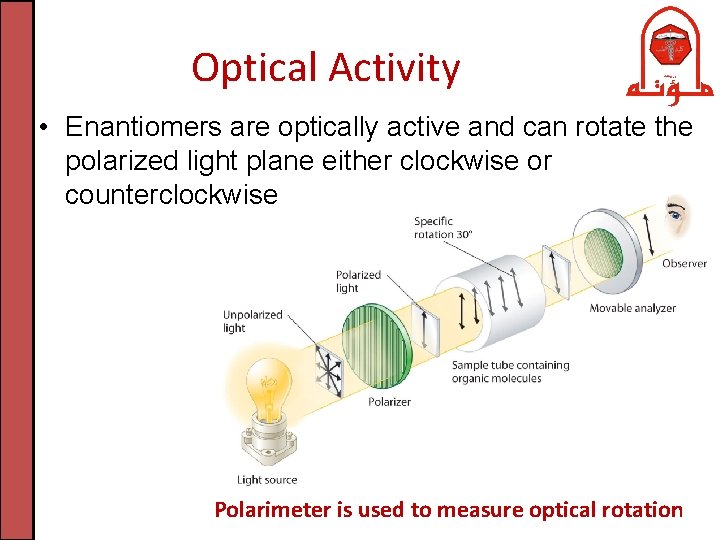 Optical Activity • Enantiomers are optically active and can rotate the polarized light plane