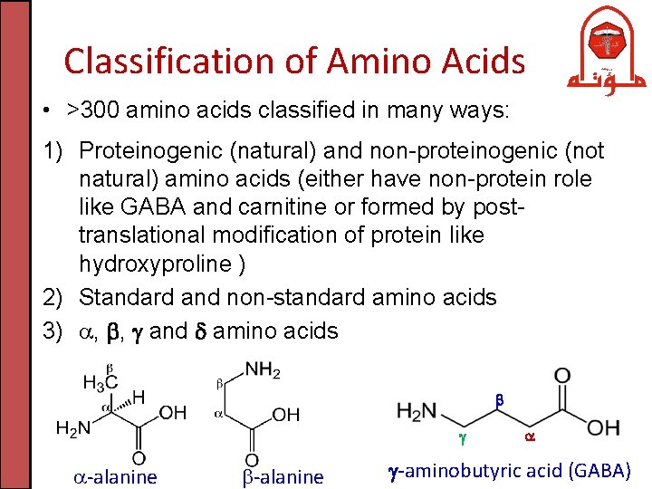 Classification of Amino Acids • >300 amino acids classified in many ways: 1) Proteinogenic