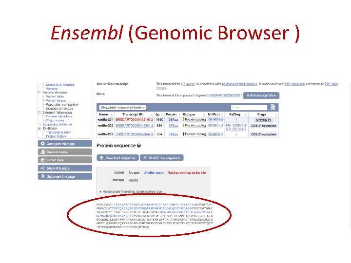 Ensembl (Genomic Browser ) 