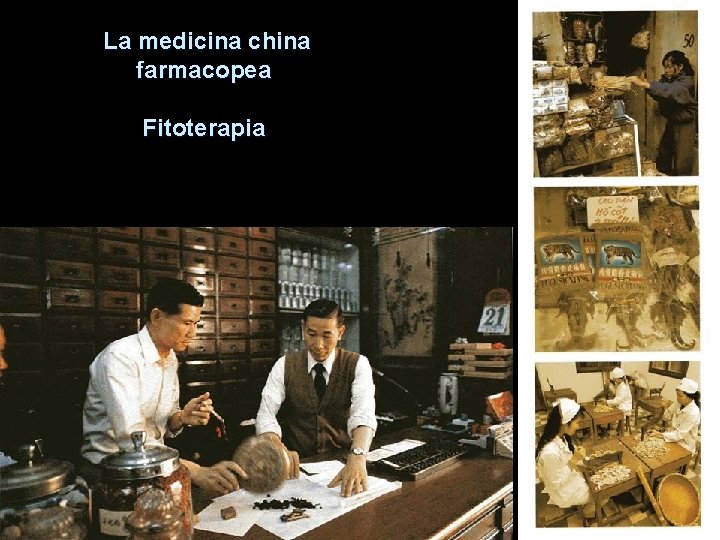 La medicina china farmacopea Fitoterapia 