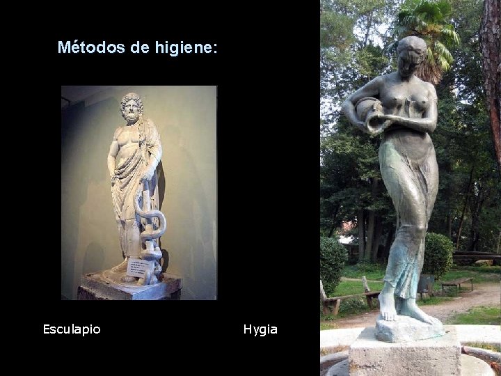 Métodos de higiene: Esculapio Hygia 