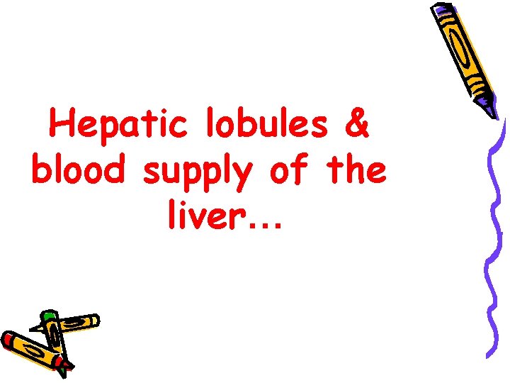 Hepatic lobules & blood supply of the liver… 