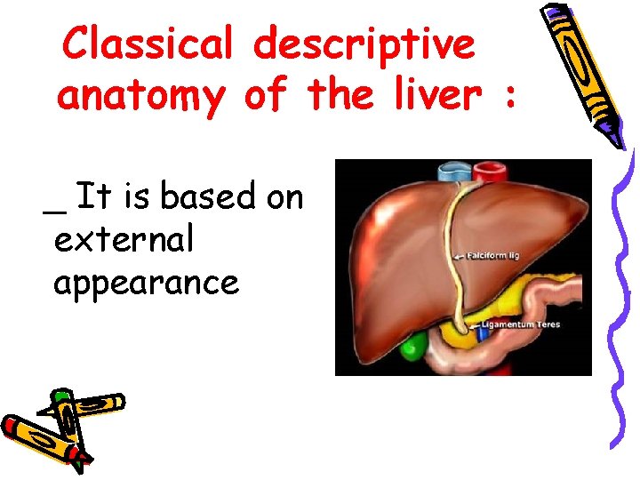 Classical descriptive anatomy of the liver : _ It is based on external appearance