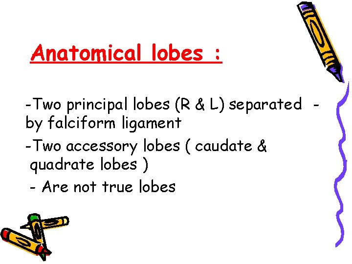 Anatomical lobes : -Two principal lobes (R & L) separated by falciform ligament -Two