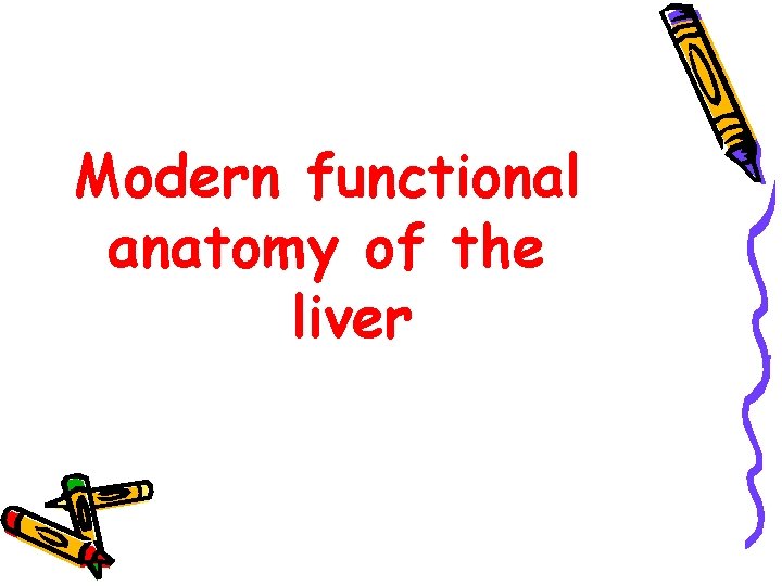 Modern functional anatomy of the liver 