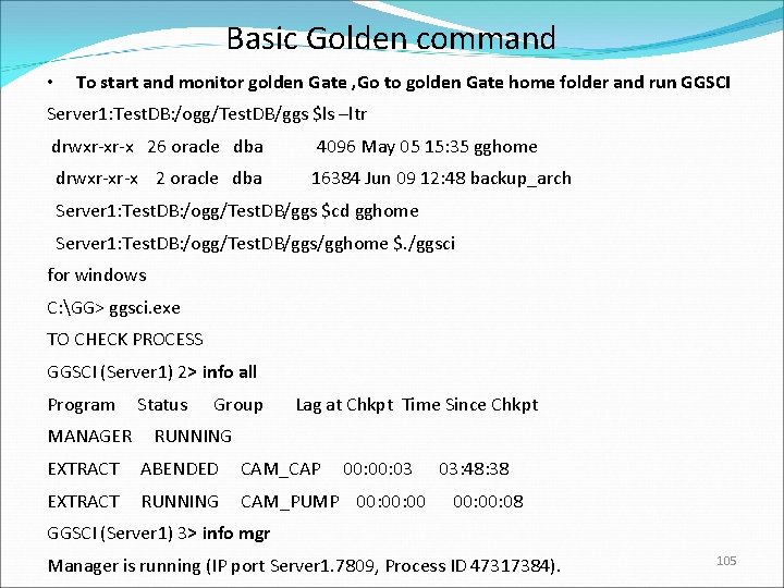 Basic Golden command • To start and monitor golden Gate , Go to golden