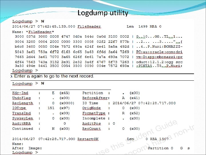 Logdump utility 132 