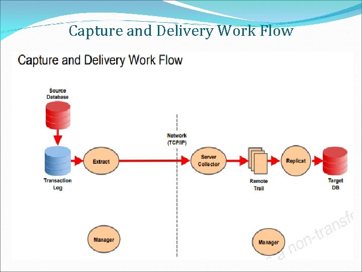 Capture and Delivery Work Flow 