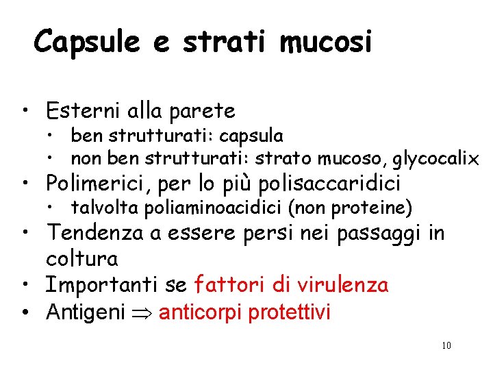 Capsule e strati mucosi • Esterni alla parete • ben strutturati: capsula • non