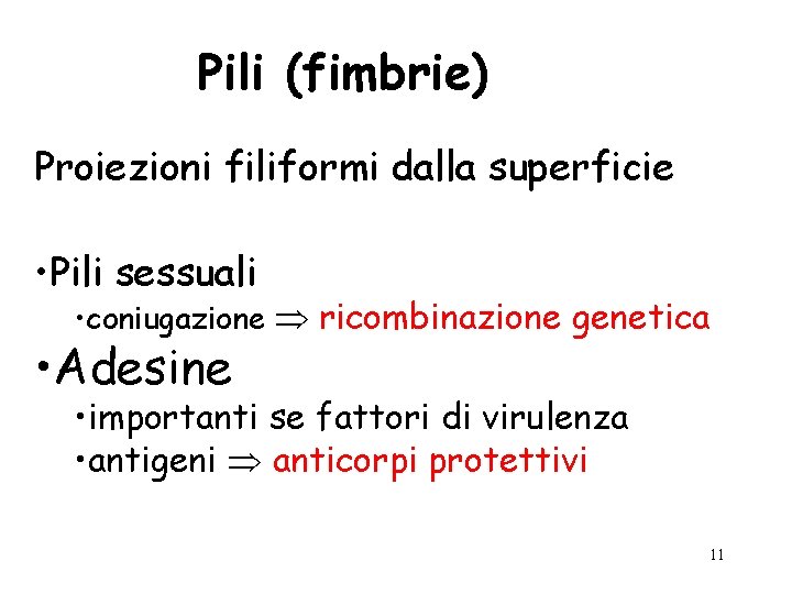 Pili (fimbrie) Proiezioni filiformi dalla superficie • Pili sessuali • coniugazione ricombinazione genetica •