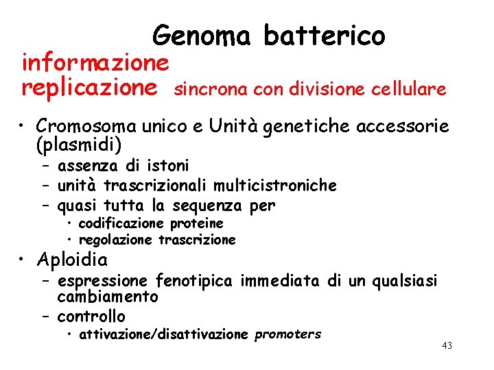 Genoma batterico informazione replicazione sincrona con divisione cellulare • Cromosoma unico e Unità genetiche