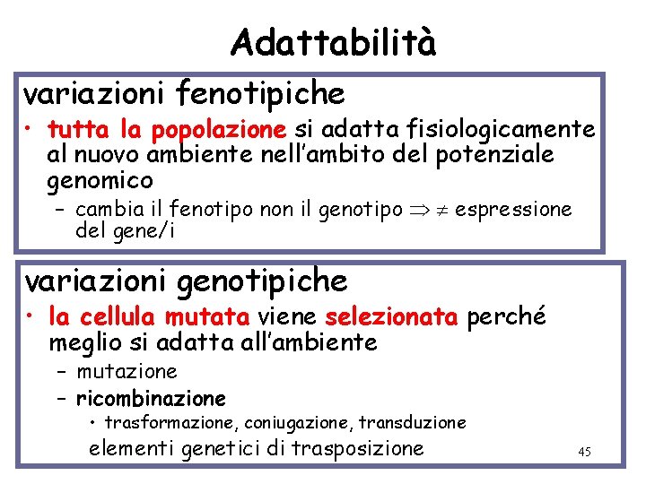 Adattabilità variazioni fenotipiche • tutta la popolazione si adatta fisiologicamente al nuovo ambiente nell’ambito