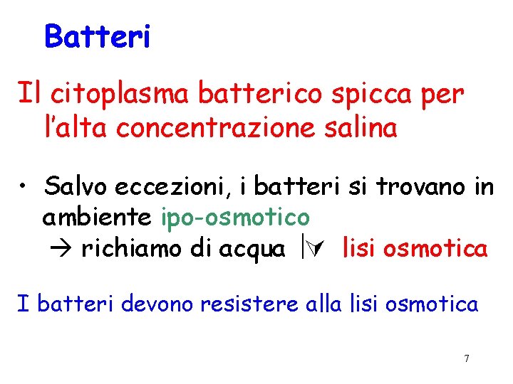 Batteri Il citoplasma batterico spicca per l’alta concentrazione salina • Salvo eccezioni, i batteri