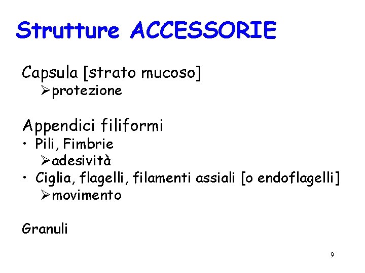 Strutture ACCESSORIE Capsula [strato mucoso] Øprotezione Appendici filiformi • Pili, Fimbrie Øadesività • Ciglia,