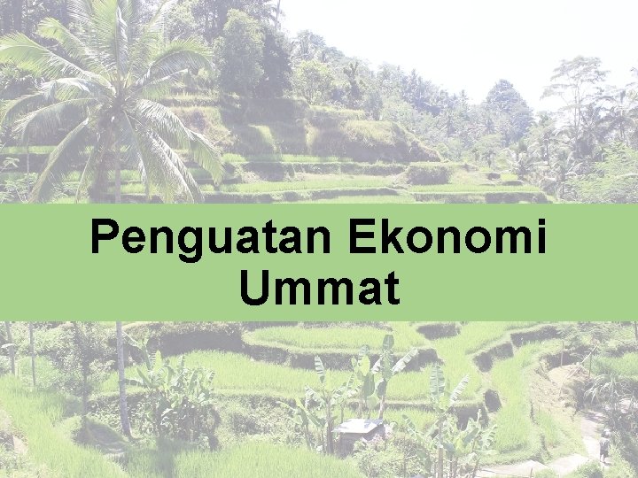 Penguatan Ekonomi Ummat 