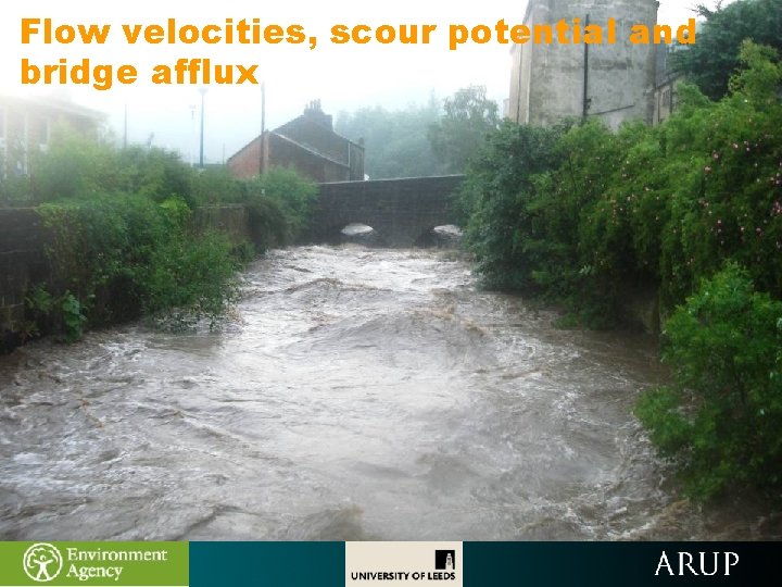 Flow velocities, scour potential and bridge afflux 