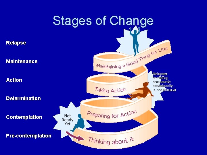Stages of Change Relapse Maintenance Action Determination Contemplation Pre-contemplation 
