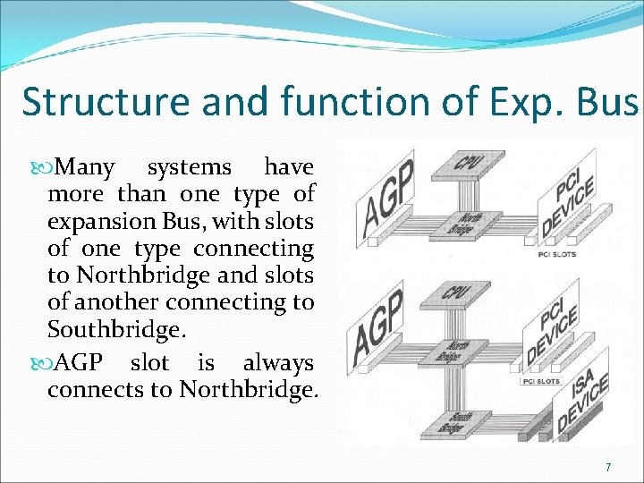 Structure and function of Exp. Bus Many systems have more than one type of